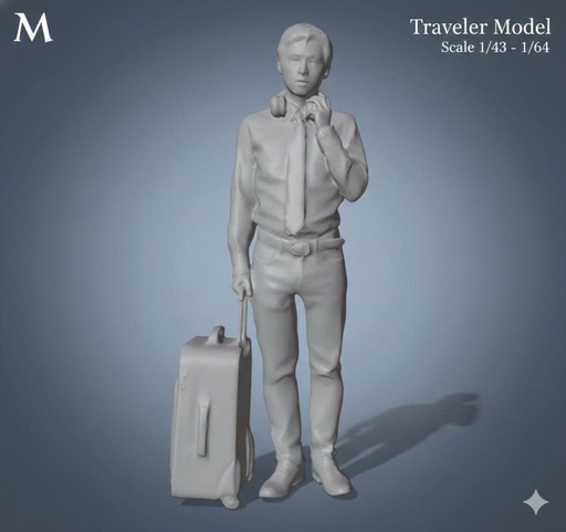 Người đàn ông đi du lịch